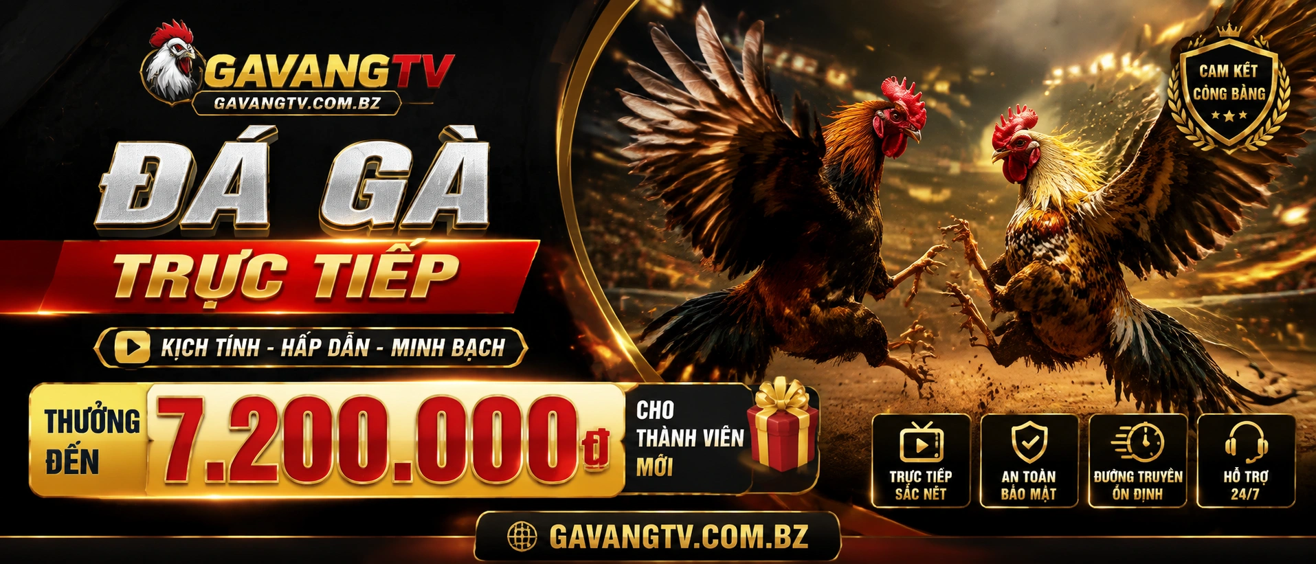 Featured cockfighting interface